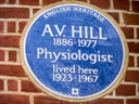 Hill, A V (id=1235)